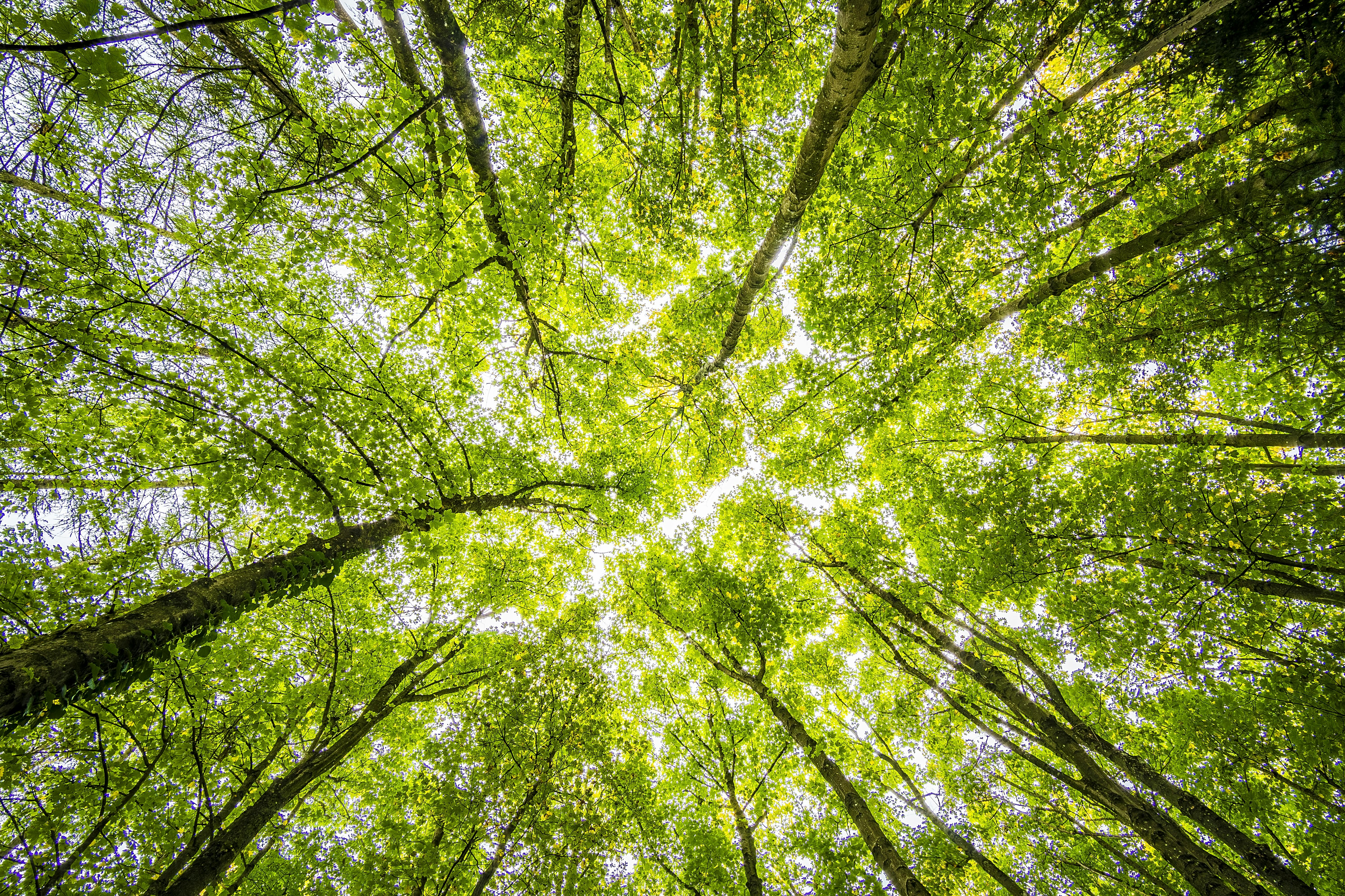 Klimaattafel Overkoepelende thema's: Rechtsbijstandjuristen