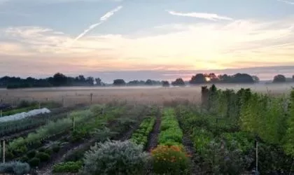 Zo beperk je juridische hobbels voor natuurinclusieve boeren